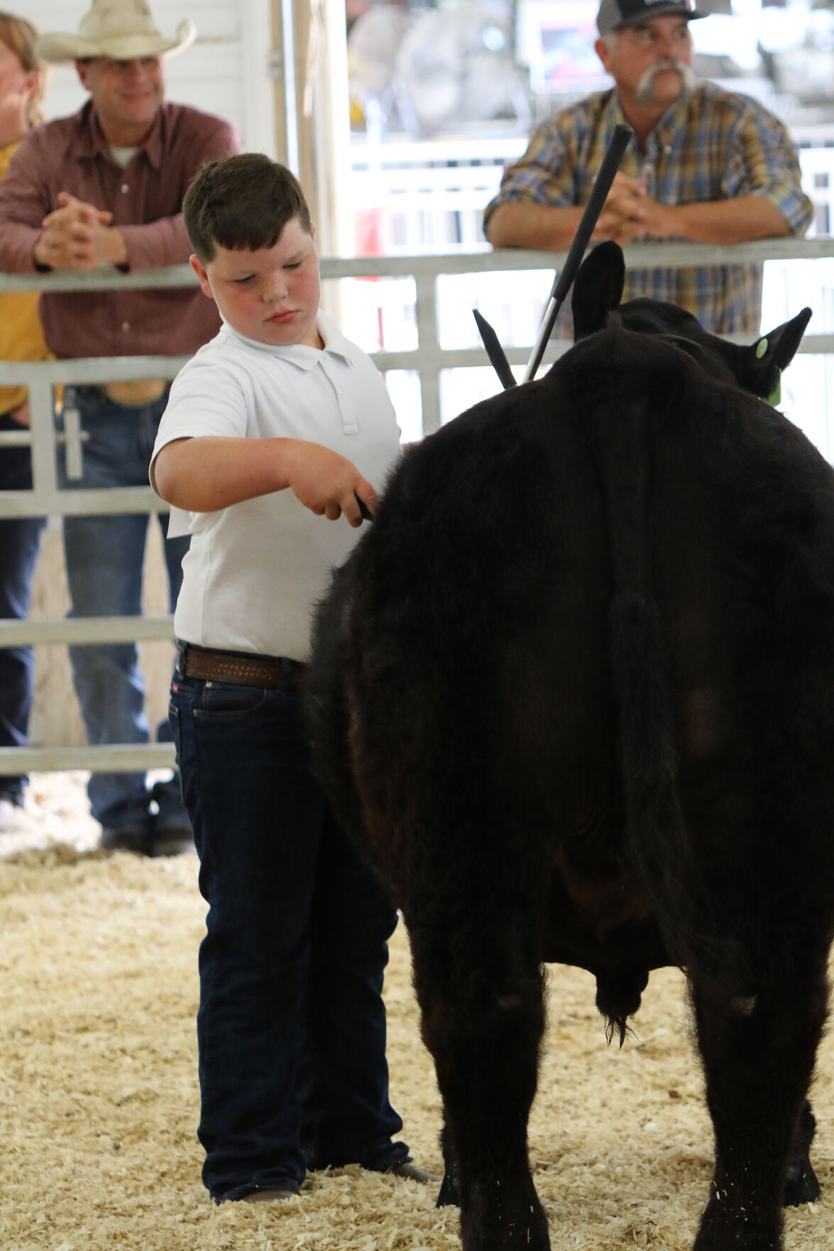 PHOTOS: Market Beef Show 2020